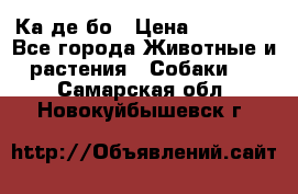 Ка де бо › Цена ­ 25 000 - Все города Животные и растения » Собаки   . Самарская обл.,Новокуйбышевск г.